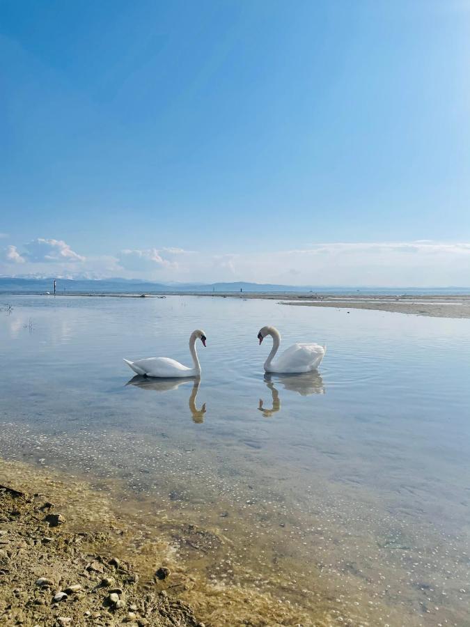 " Sunshine Am See " FDH Kültér fotó