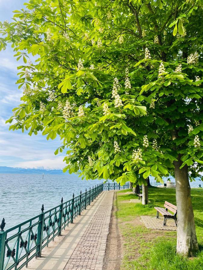 " Sunshine Am See " FDH Kültér fotó
